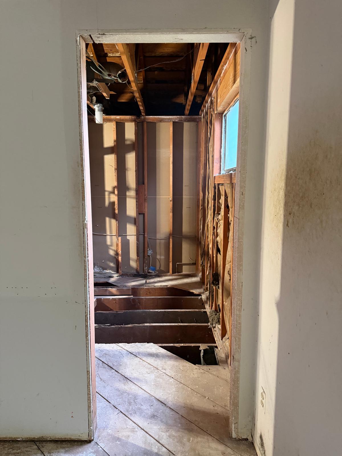 Complete Interior Demolition, photo 8