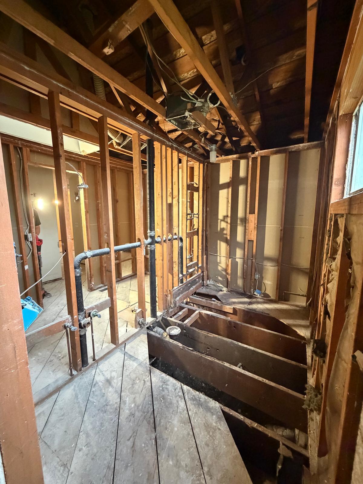 Complete Interior Demolition, photo 9