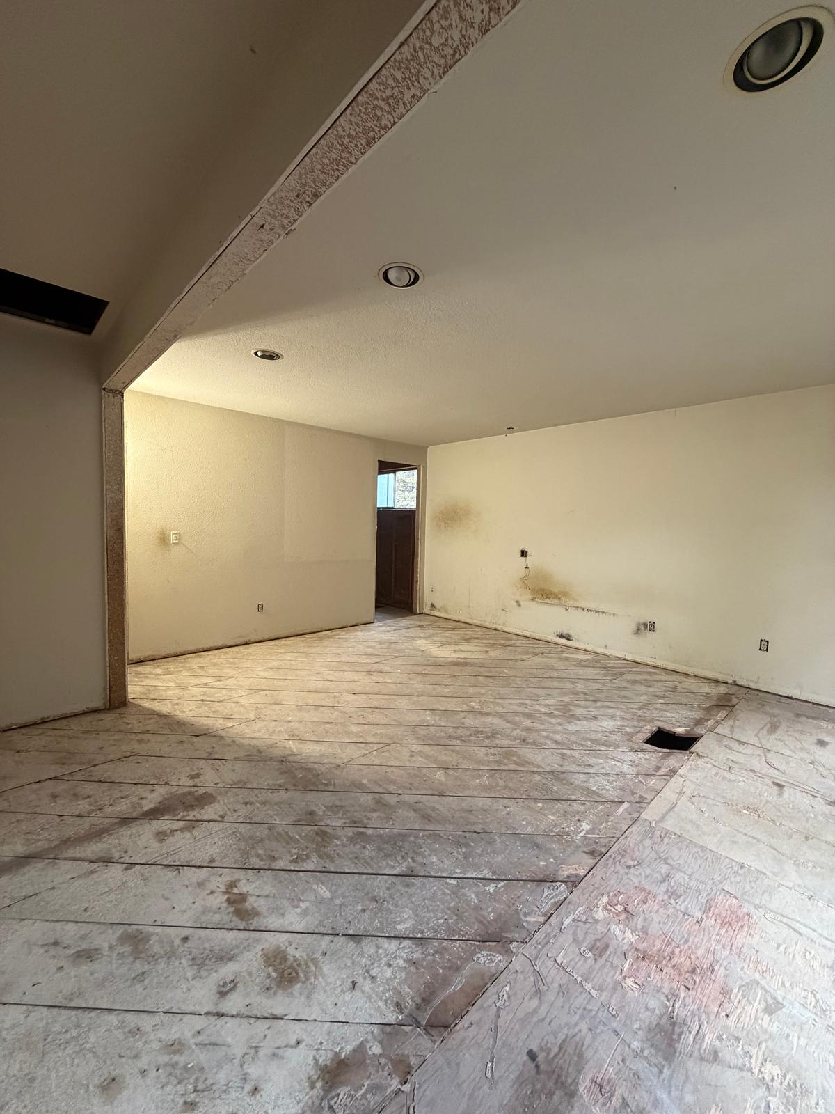 Complete Interior Demolition, photo 10