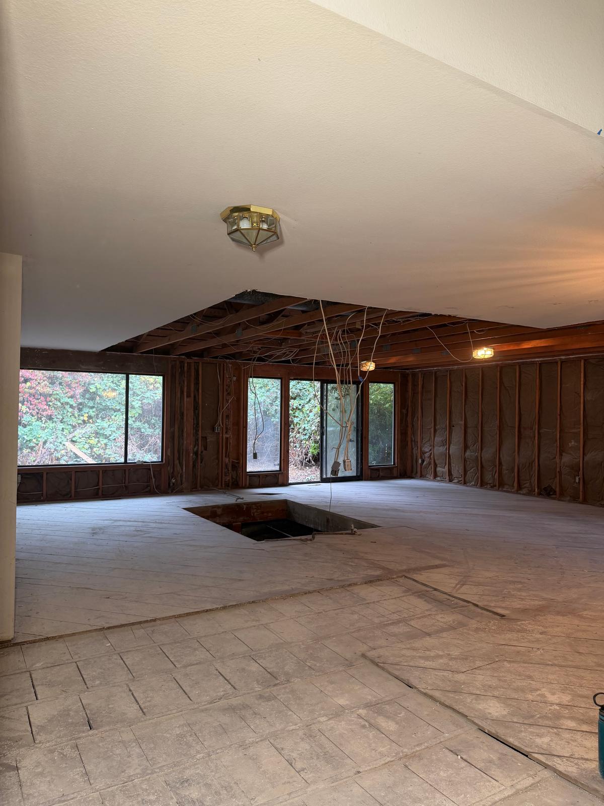 Complete Interior Demolition, photo 13