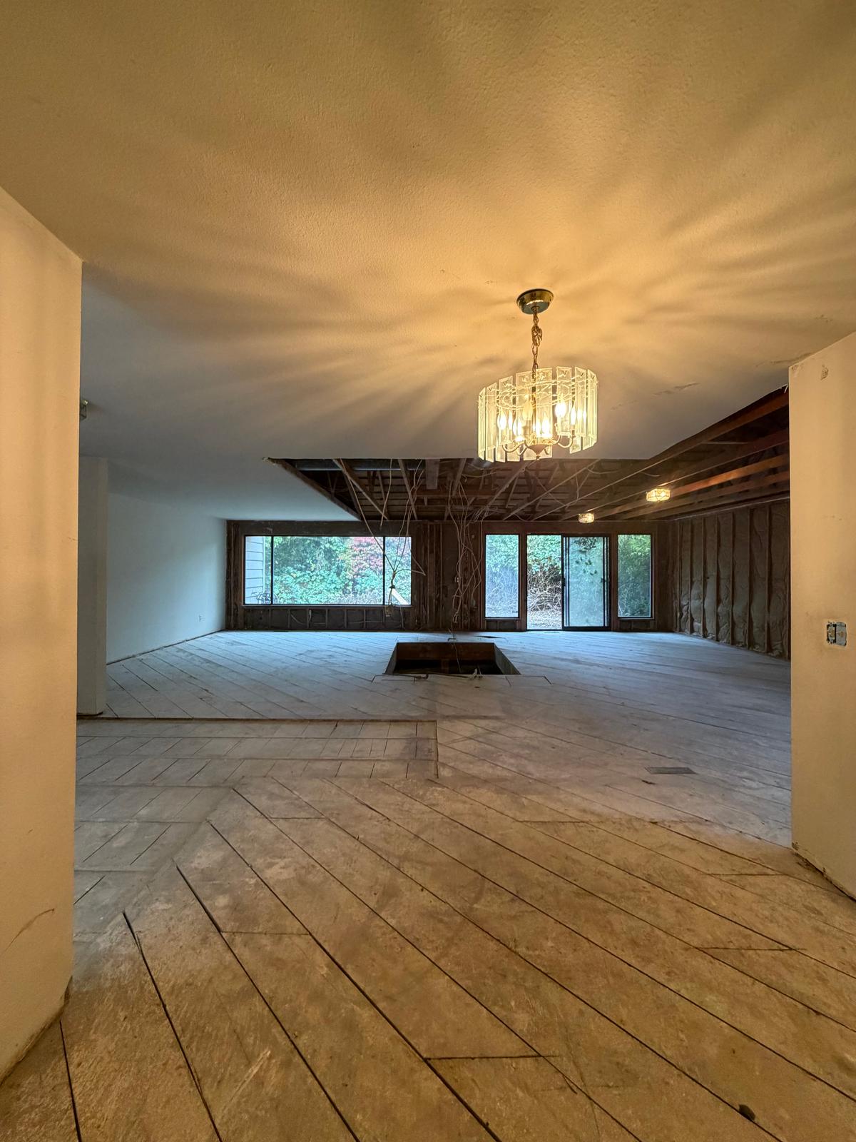 Complete Interior Demolition, photo 14