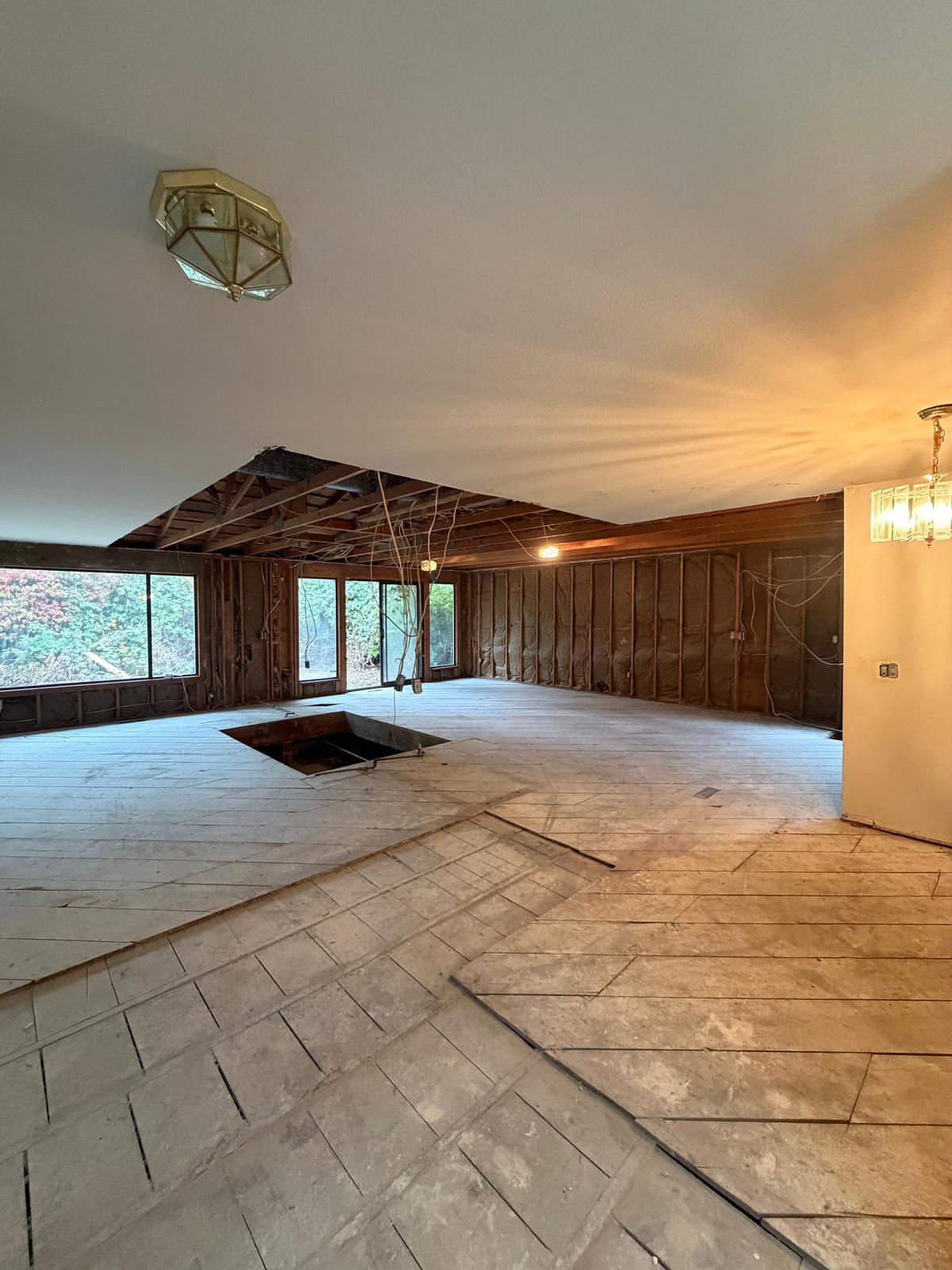 Complete Interior Demolition, photo 15