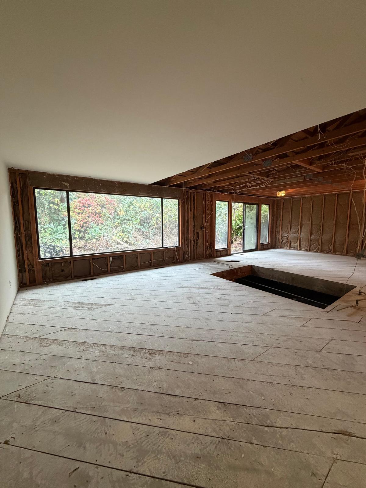Complete Interior Demolition, photo 16