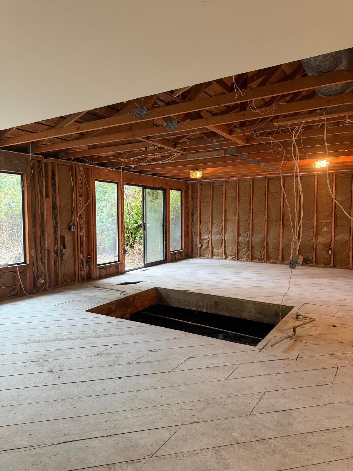 Complete Interior Demolition, photo 18