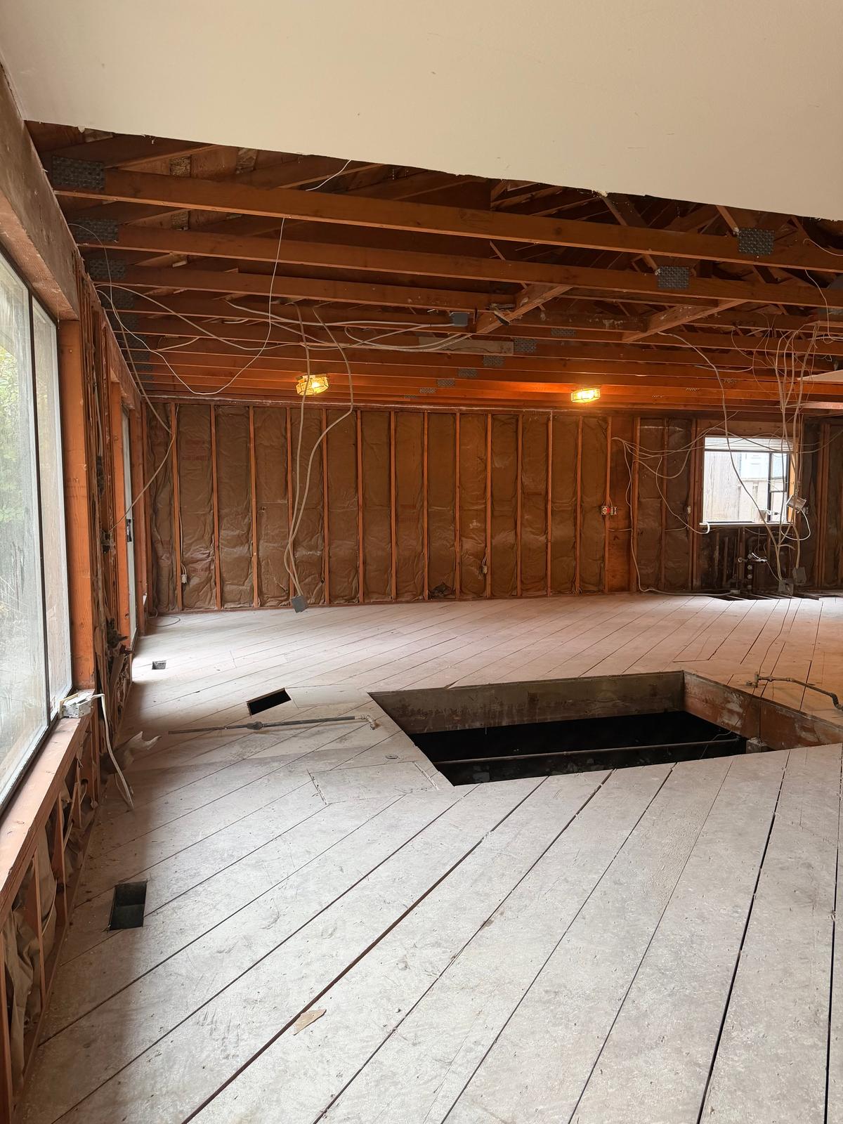 Complete Interior Demolition, photo 19