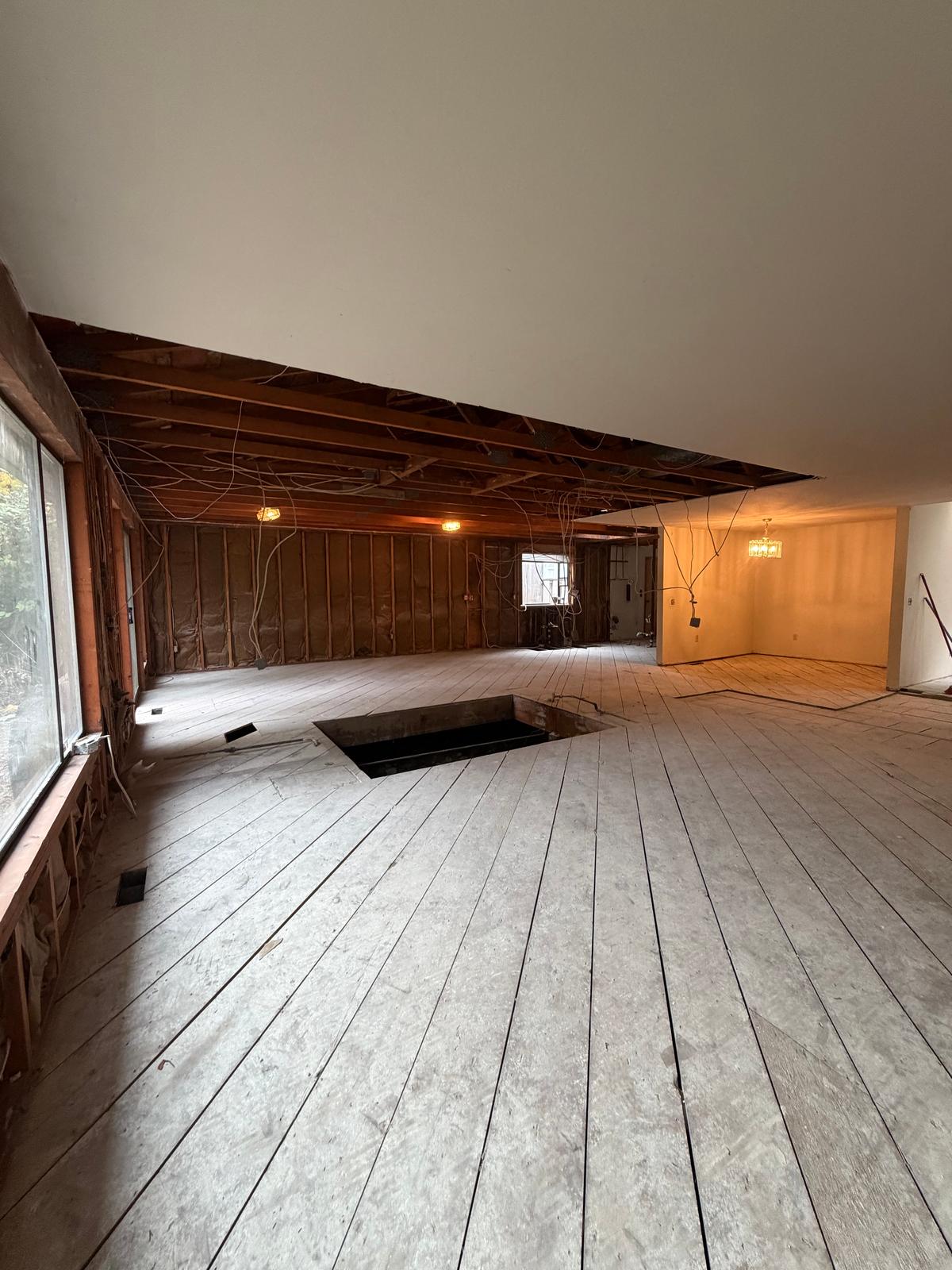 Complete Interior Demolition, photo 20