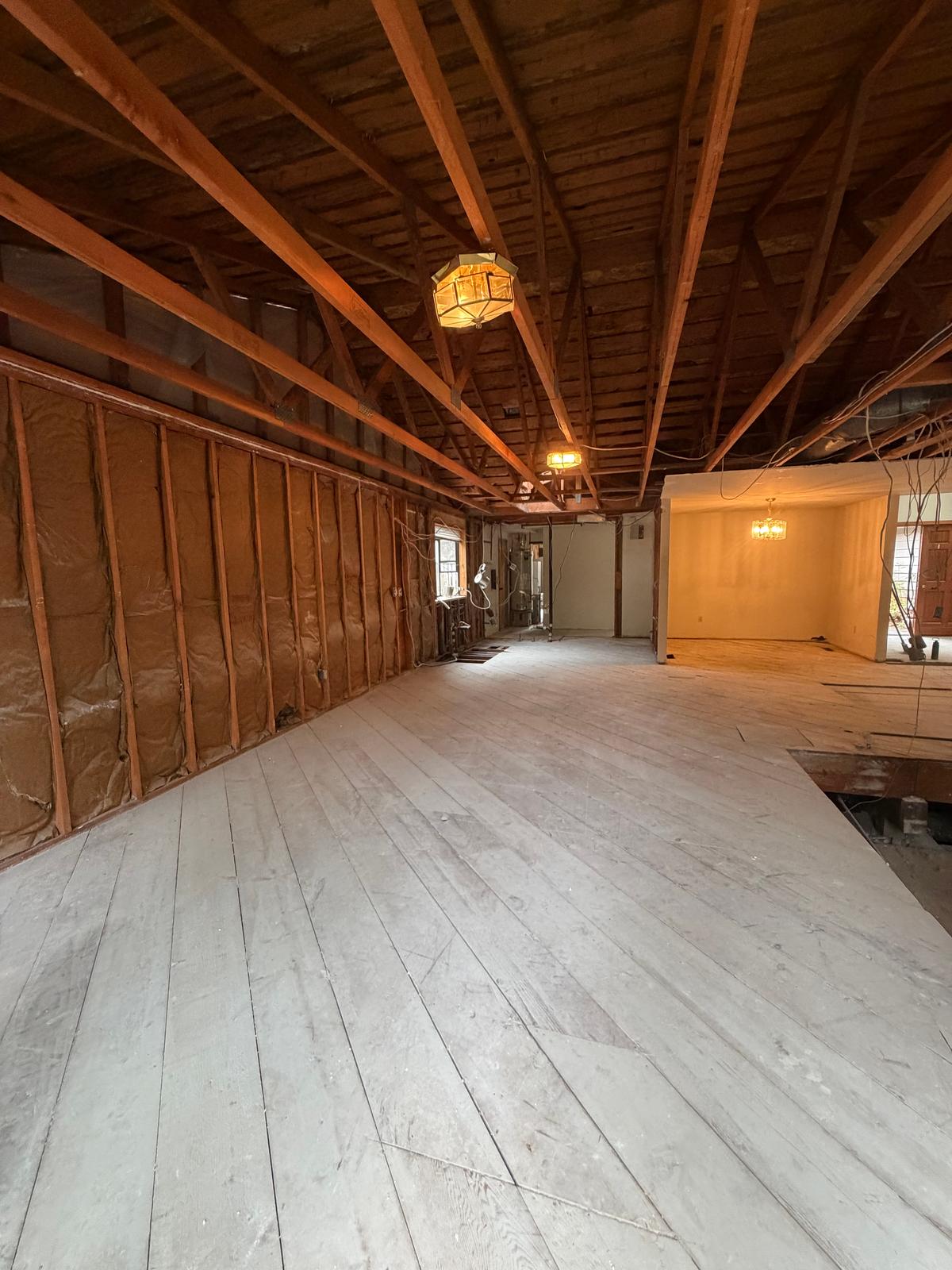 Complete Interior Demolition, photo 21