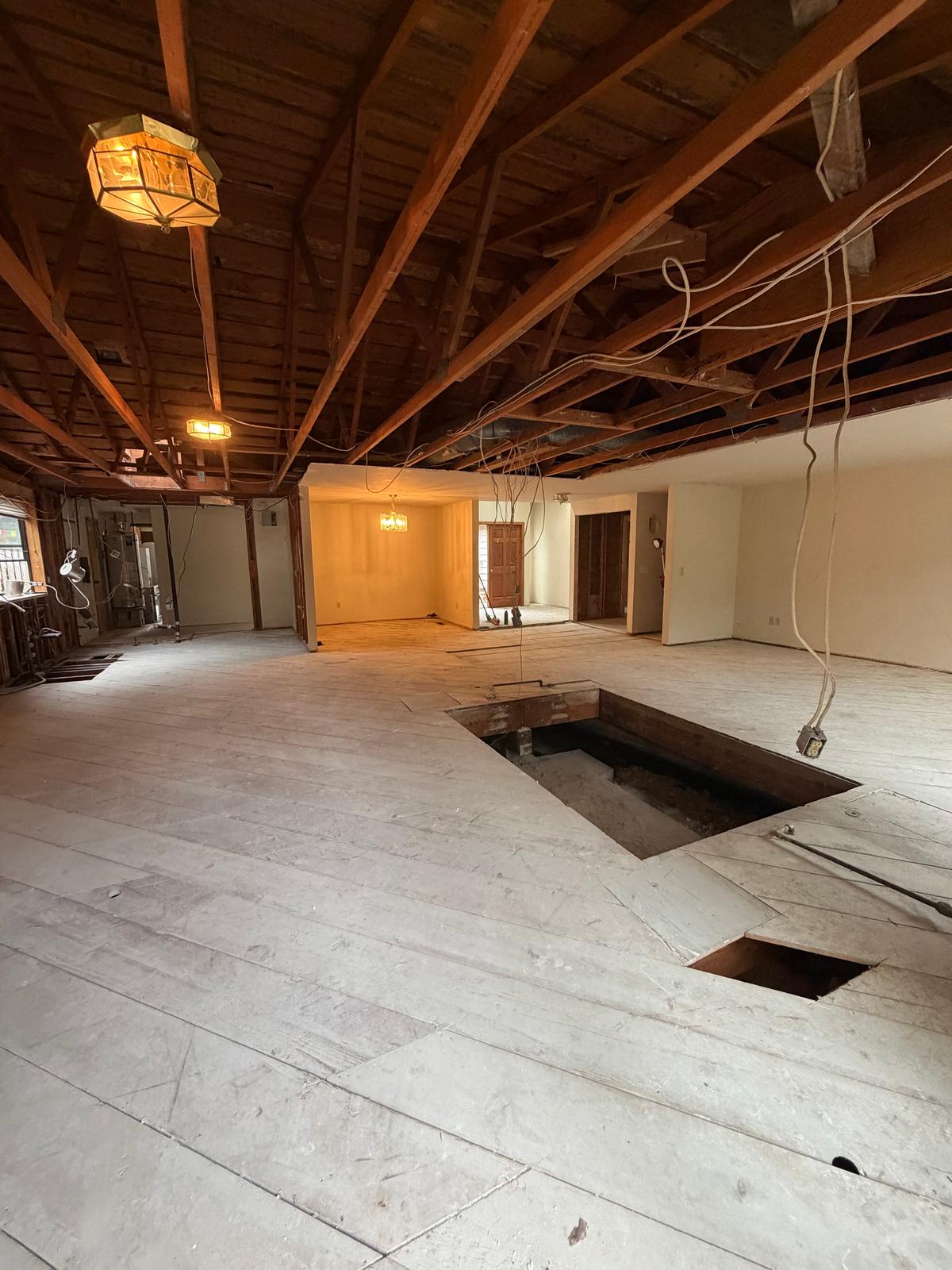 Complete Interior Demolition, photo 22