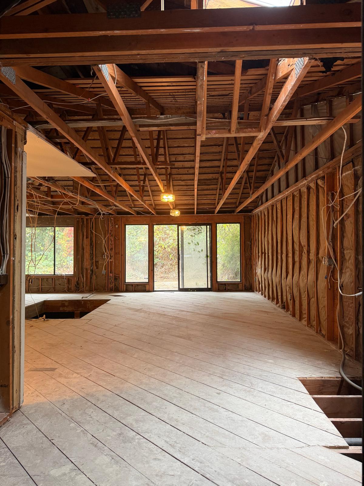 Complete Interior Demolition, photo 24