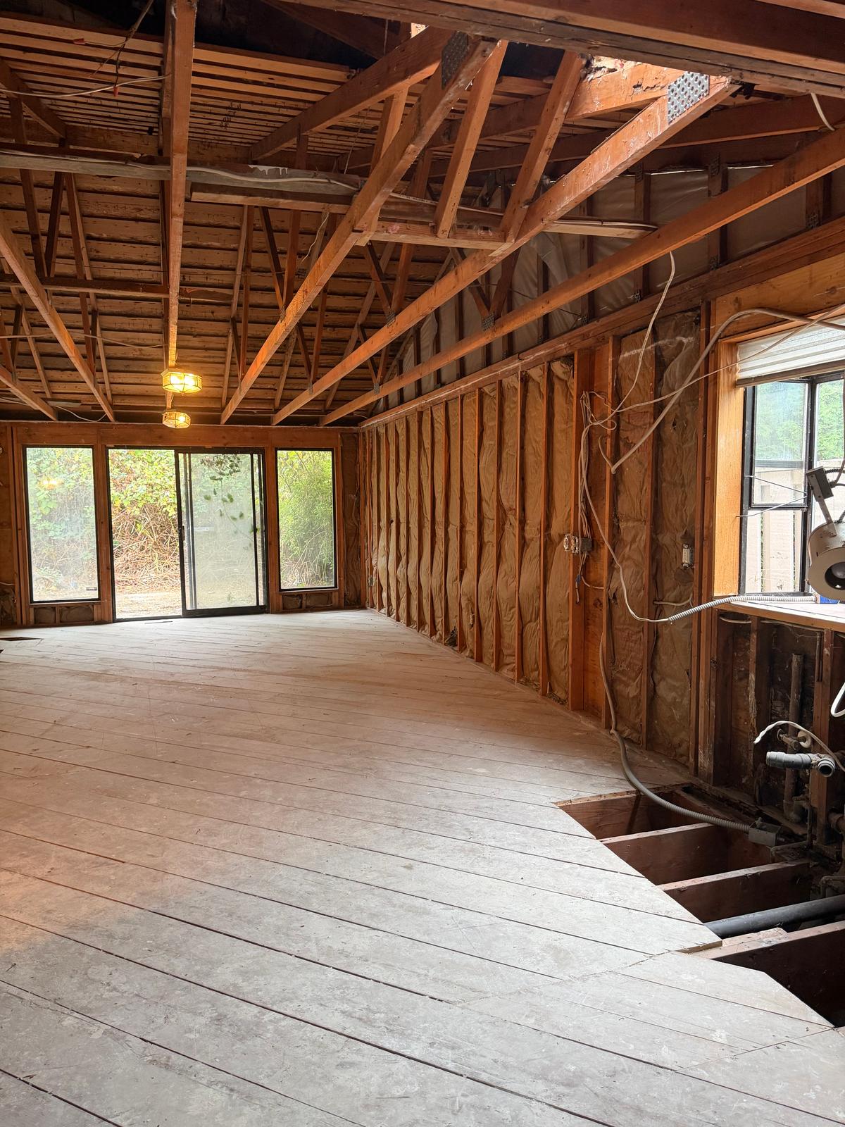 Complete Interior Demolition, photo 27