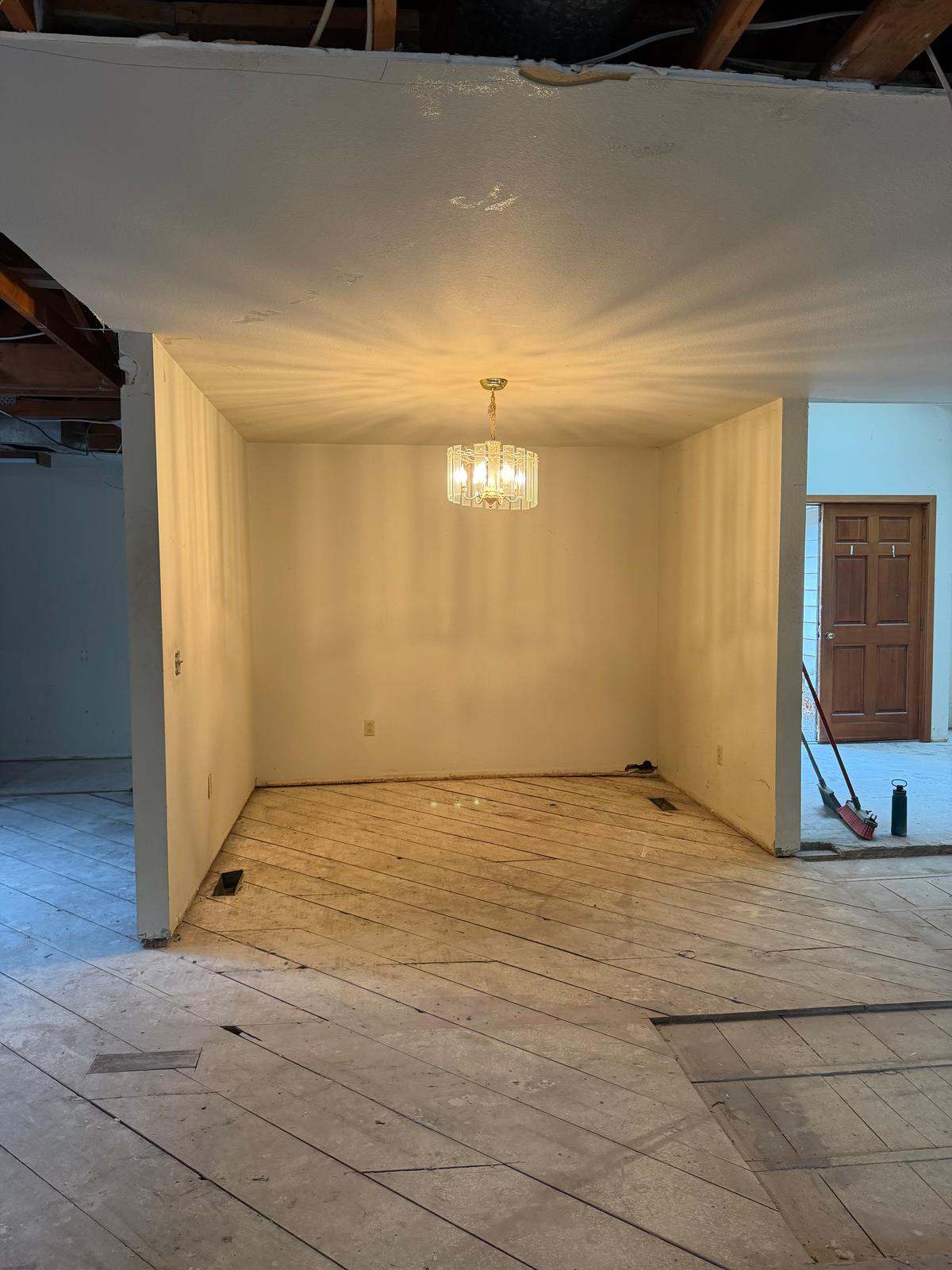 Complete Interior Demolition, photo 28
