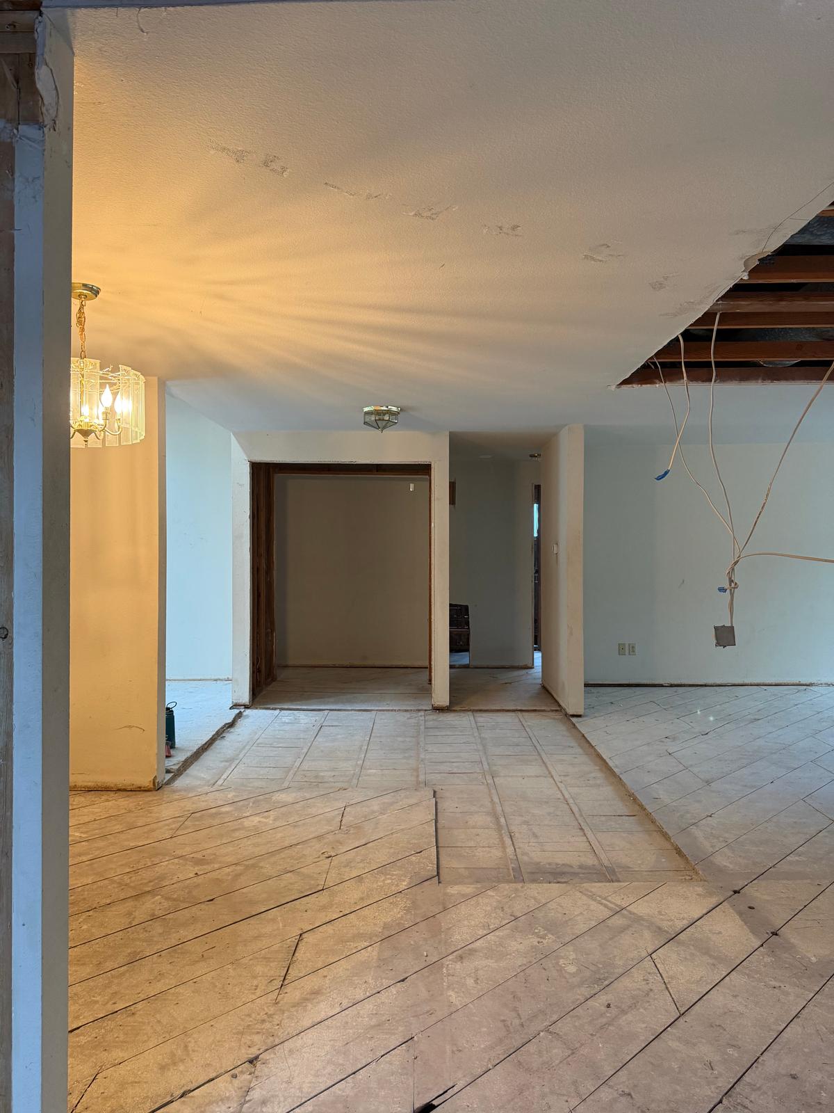 Complete Interior Demolition, photo 29