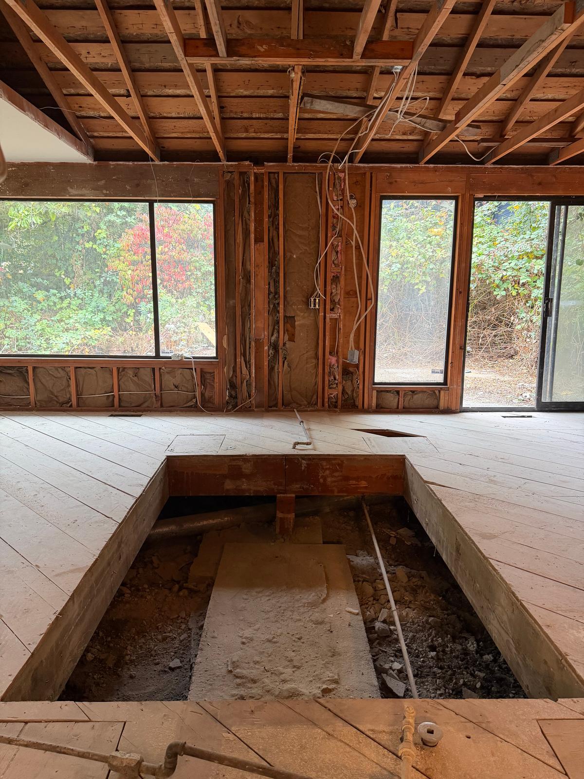 Complete Interior Demolition, photo 30